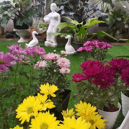 Ella Way Resort Peradeniya Zewnętrze zdjęcie