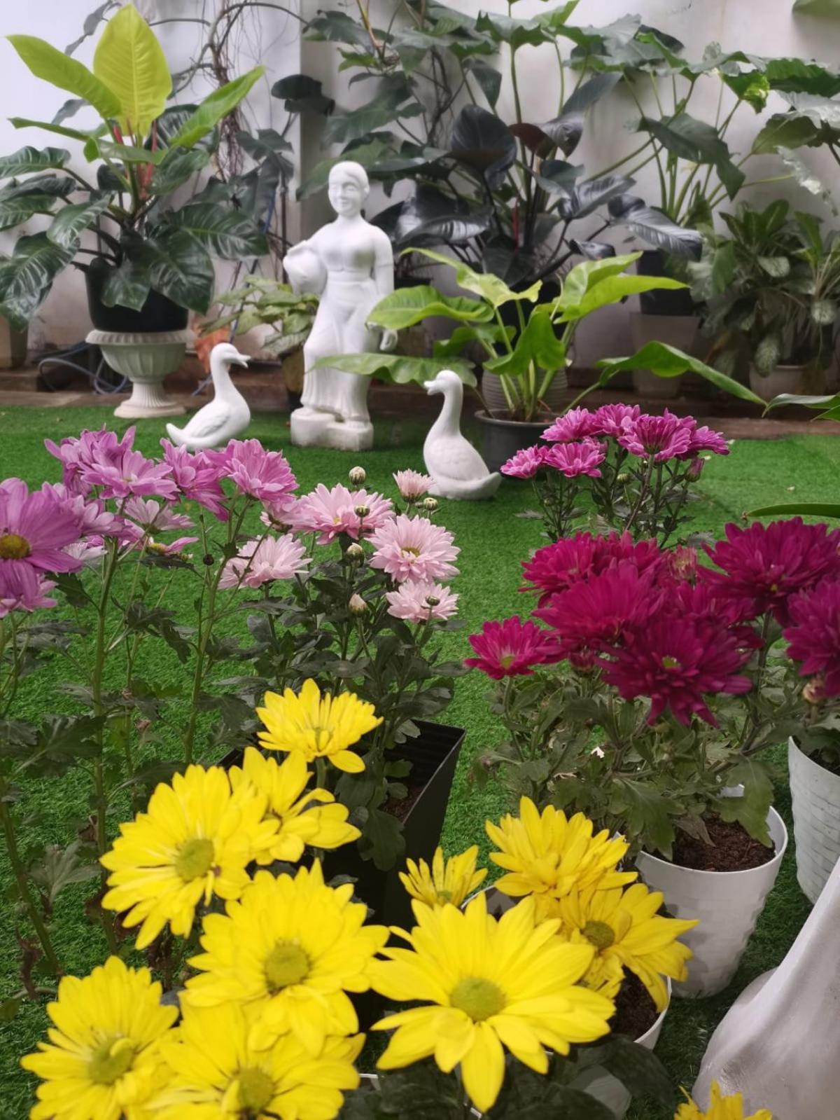 Ella Way Resort Peradeniya Zewnętrze zdjęcie